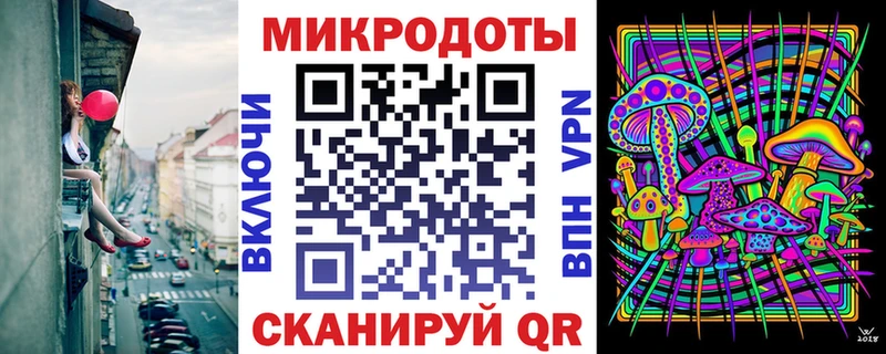 Галлюциногенные грибы Psilocybe  Петров Вал 